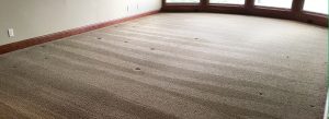 Clean Home Carpet