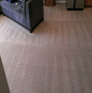 Dry, Clean, and Fluffy Carpet