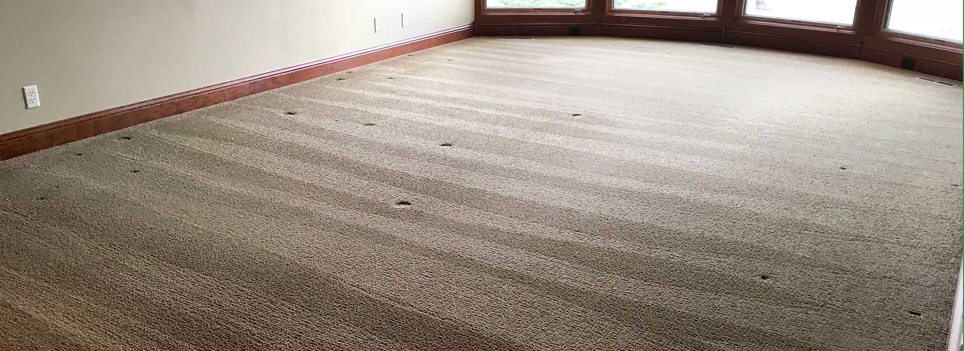 Carpet Cleaning