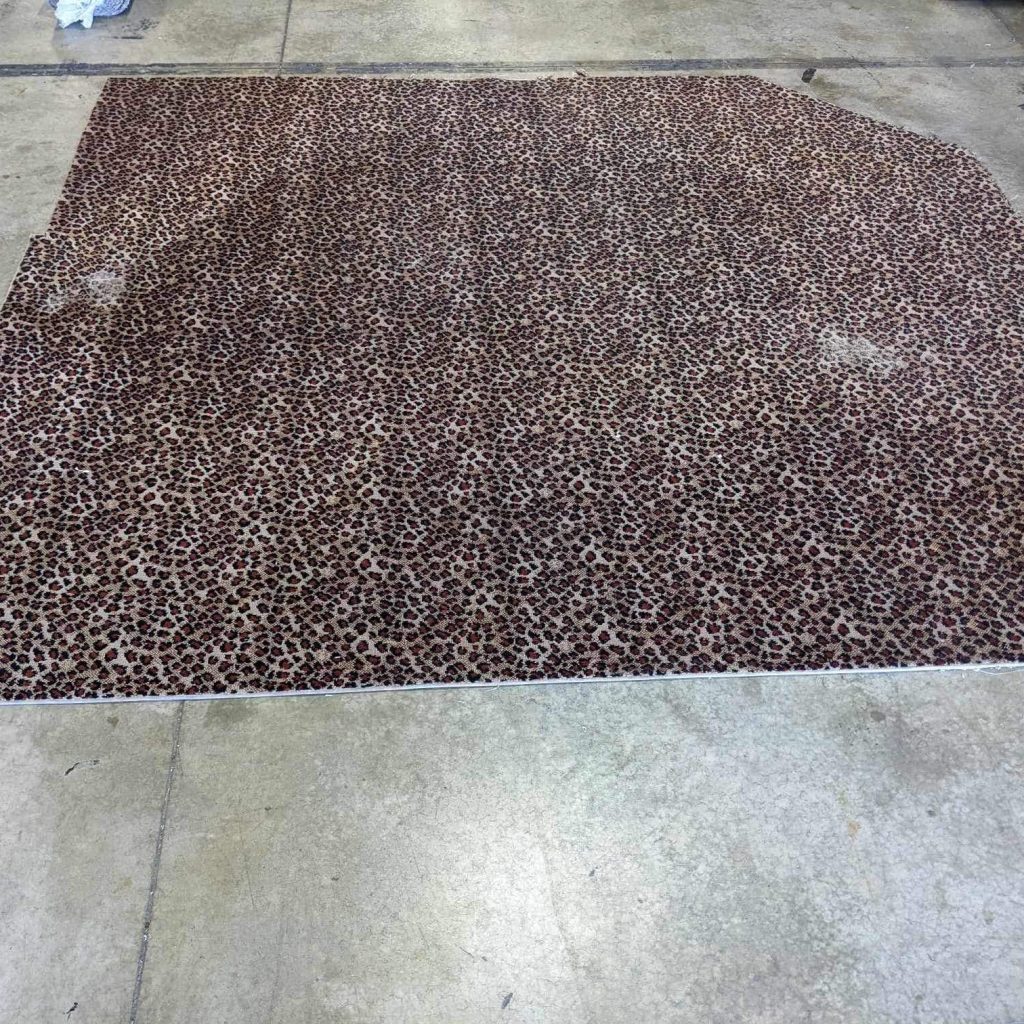 cleaning a rug at our home office in Lincoln, ne